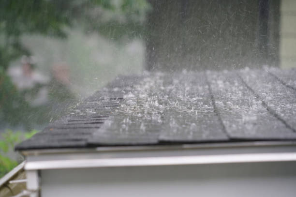 Best Cold Roofs  in Sterling, GA