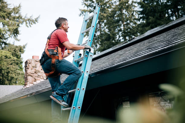 Emergency Roof Repair in Sterling, GA